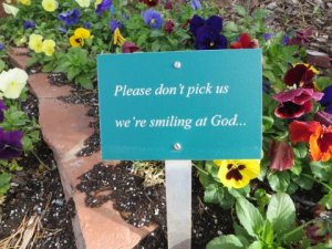 Grand Canyon 2014 033