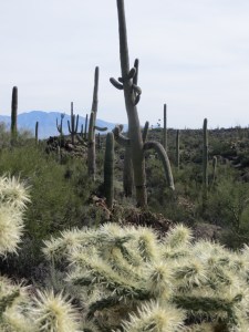 20160303_174617000_iOS