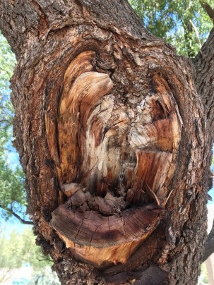 asBRIWEQTJSp2Is3PdRlmA