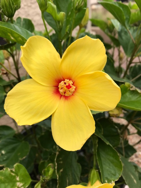 o+I7cruuSEubmYDsCAPgkw