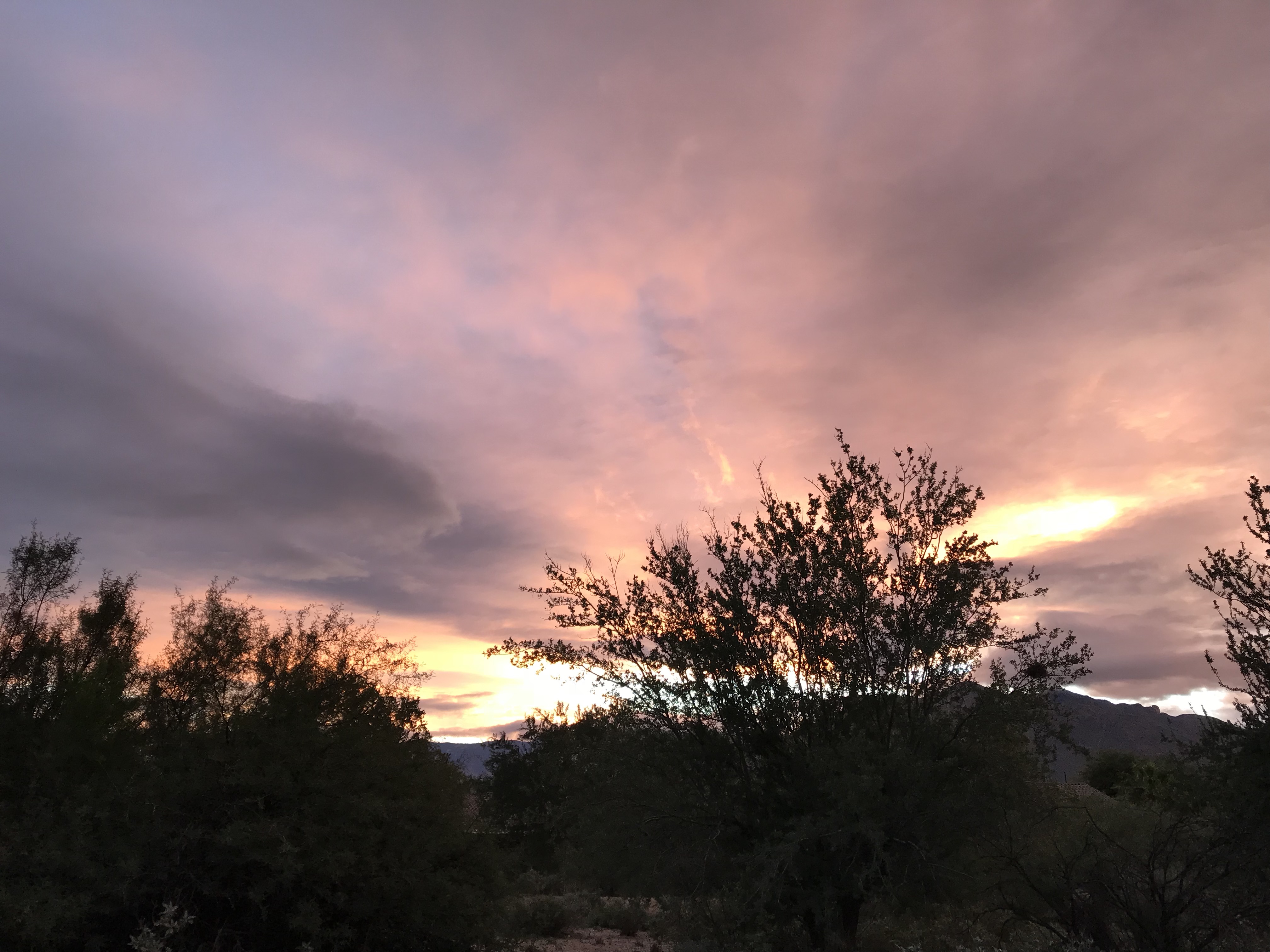 %UJ34iLUStGfXtF9Xr5aew