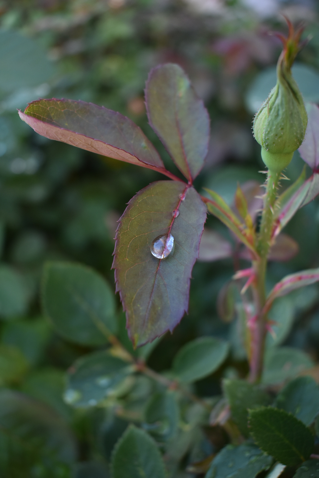 20190406_151624070_iOS