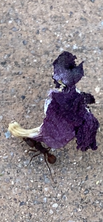 20200518_142536000_iOS