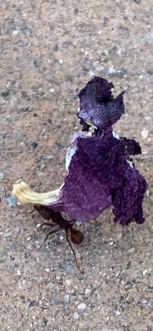 20200518_142536000_iOS