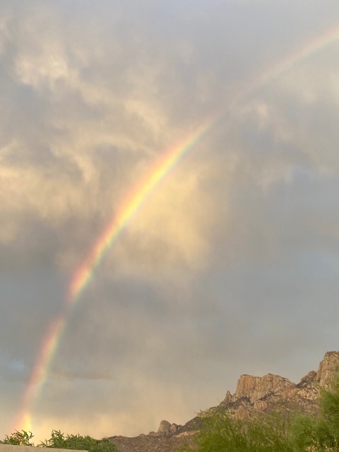 8E7833A9-C67A-47D4-8E65-FC04C9CF9E26_1_105_c