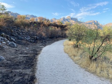 0C3D737D-FFE1-4482-94E6-8A3E1D5580CE_1_105_c