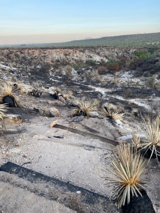 CAAAAD69-148C-4F0D-A461-D49D9E1FCF15_1_105_c